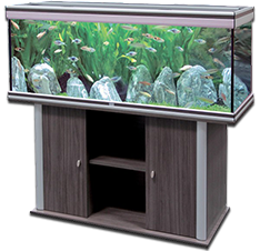 Aquarium ambiance 240 litres