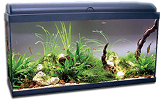 Aquarium aquadream 120 litres