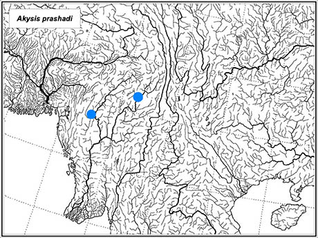 distribution Akysis prashadi