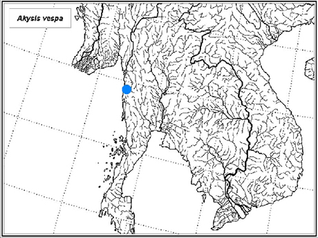 Aire de répartion Akysis vespa