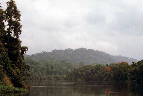 riviére Ntem au Cameroun