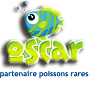 Oscar le poisson